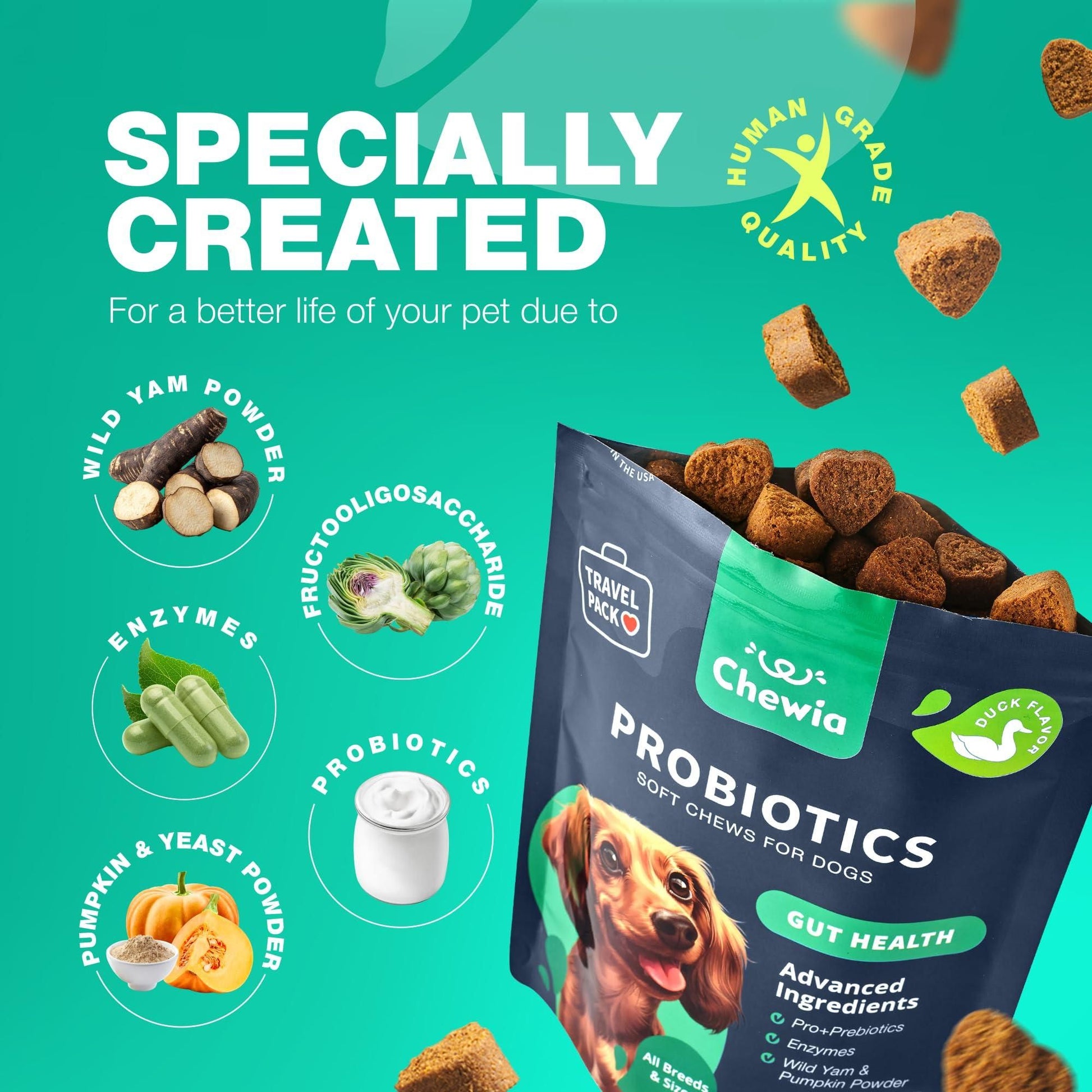 Chewia probiotics soft chews for dogs by PawCounter.com with dog probiotics chews for gut health