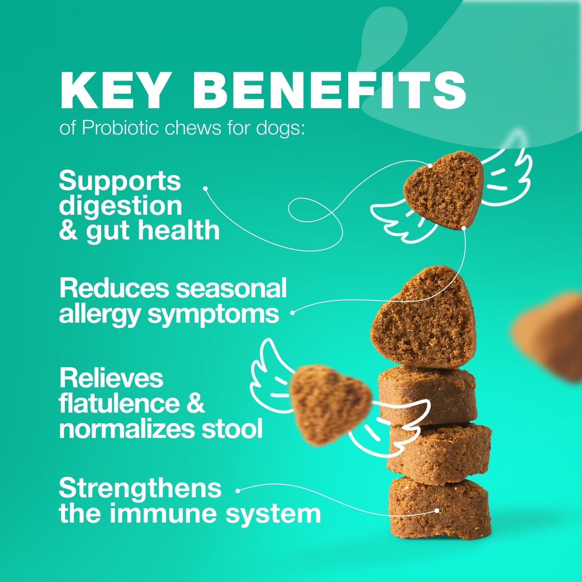 Stack of brown dog probiotics chews highlighting key benefits for digestion, allergies, and immunity