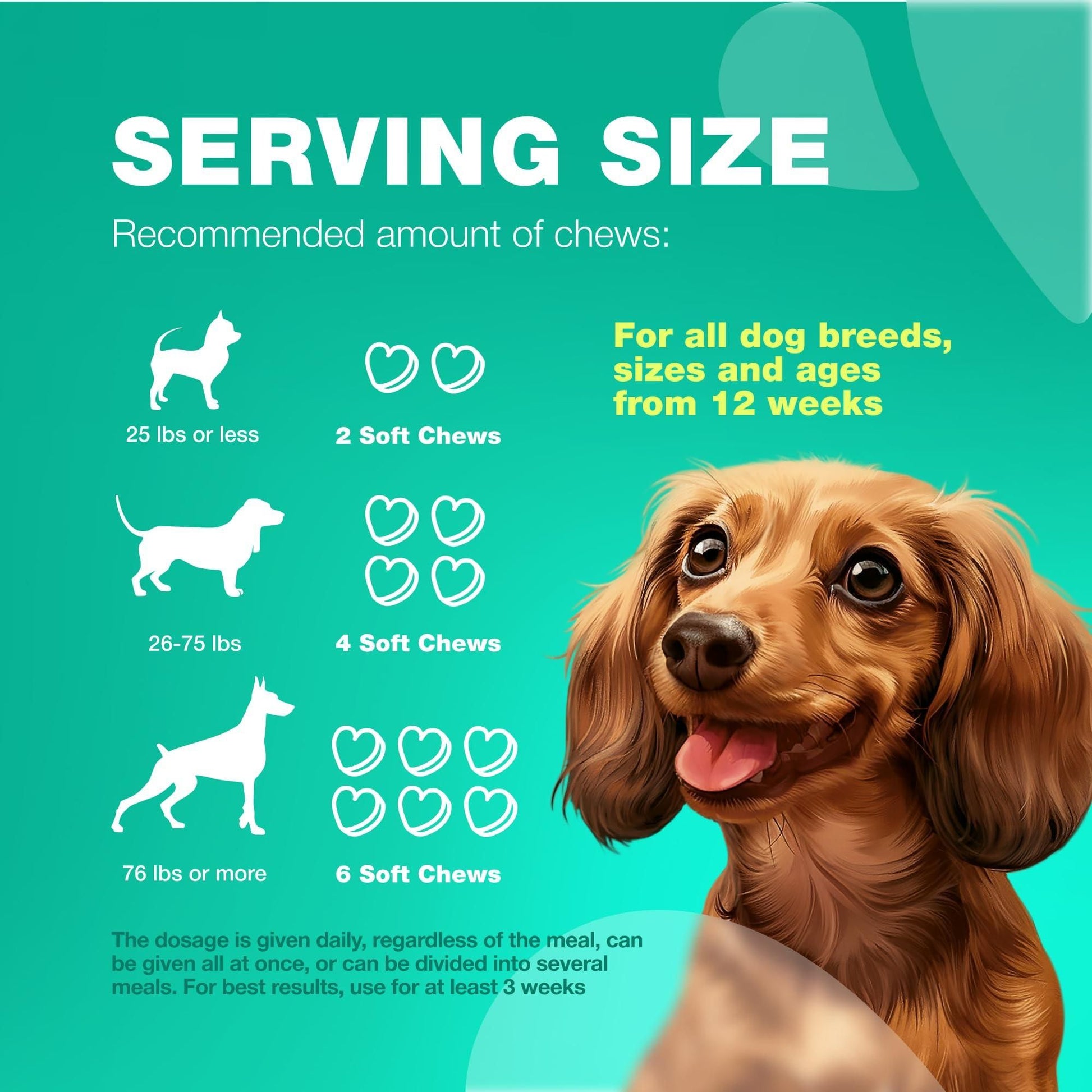 Serving size guide for dog probiotics chews by PawCounter.com with dosages based on dog weight and age