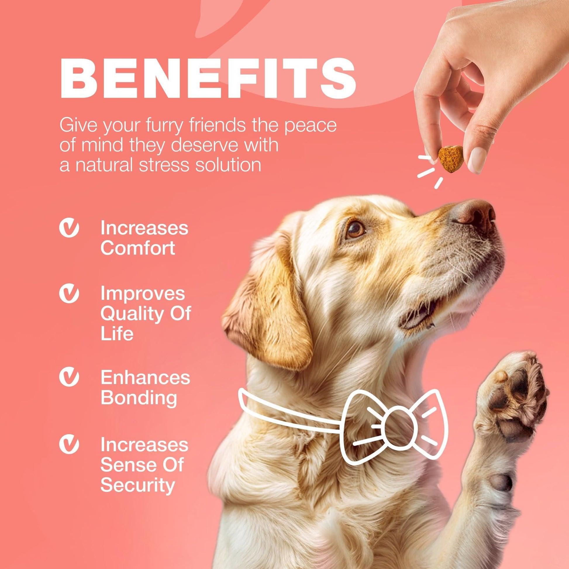 Hand feeding natural flea and tick chews for dogs to a golden retriever with benefits text on pink background