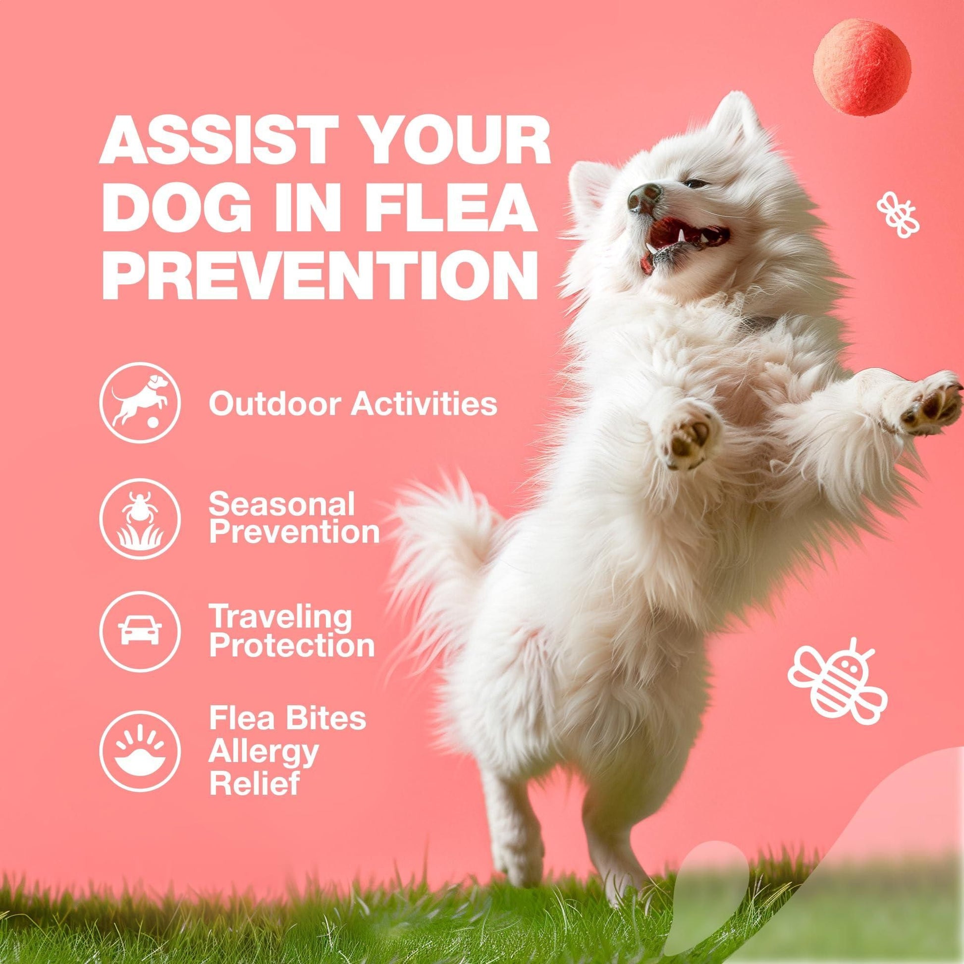 Happy white dog jumping to catch ball promoting natural flea and tick chews for dogs by PawCounter.com