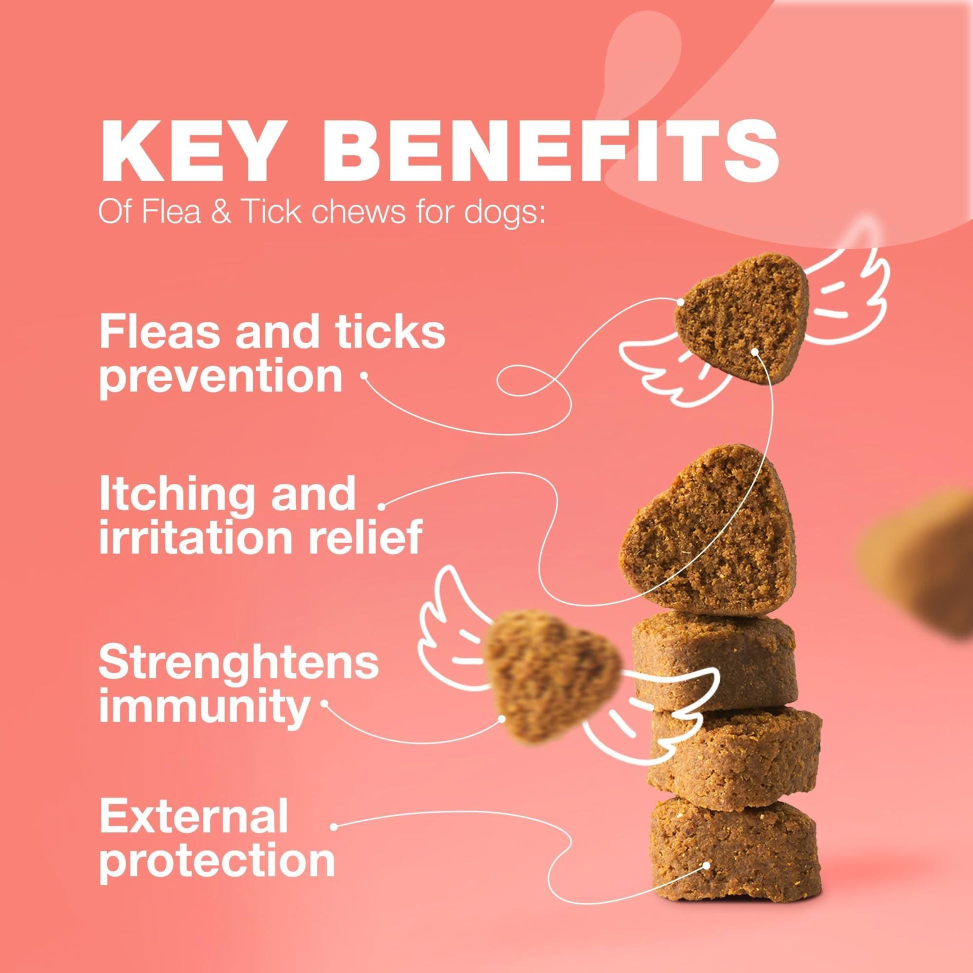 Natural flea and tick chews for dogs showing key benefits like prevention, relief, immunity, and protection