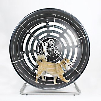 GoPet TreadWheel For Small Dogs PawCounter.com