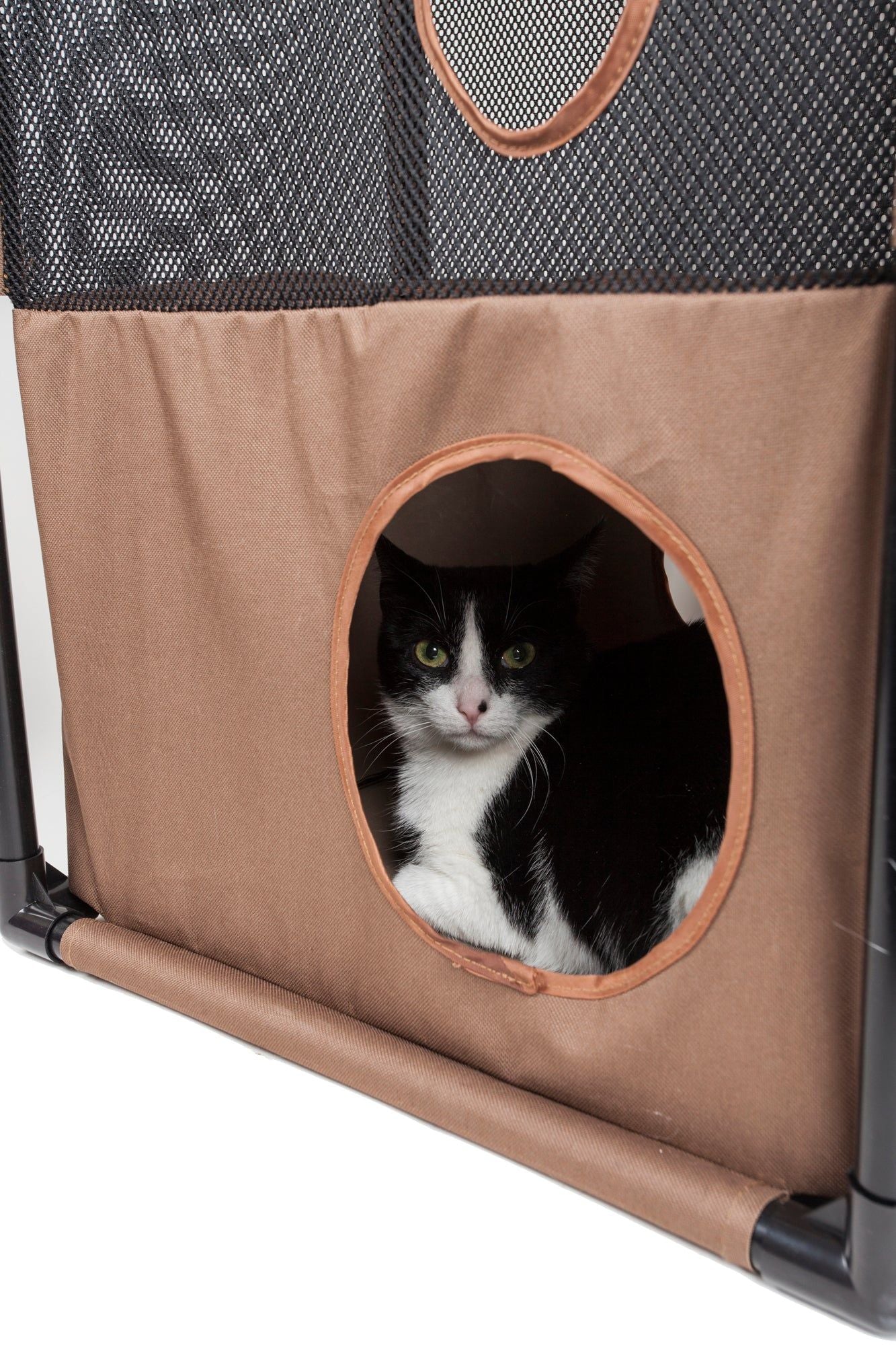 Black and white cat sitting inside brown collapsible cat house with circular entrance