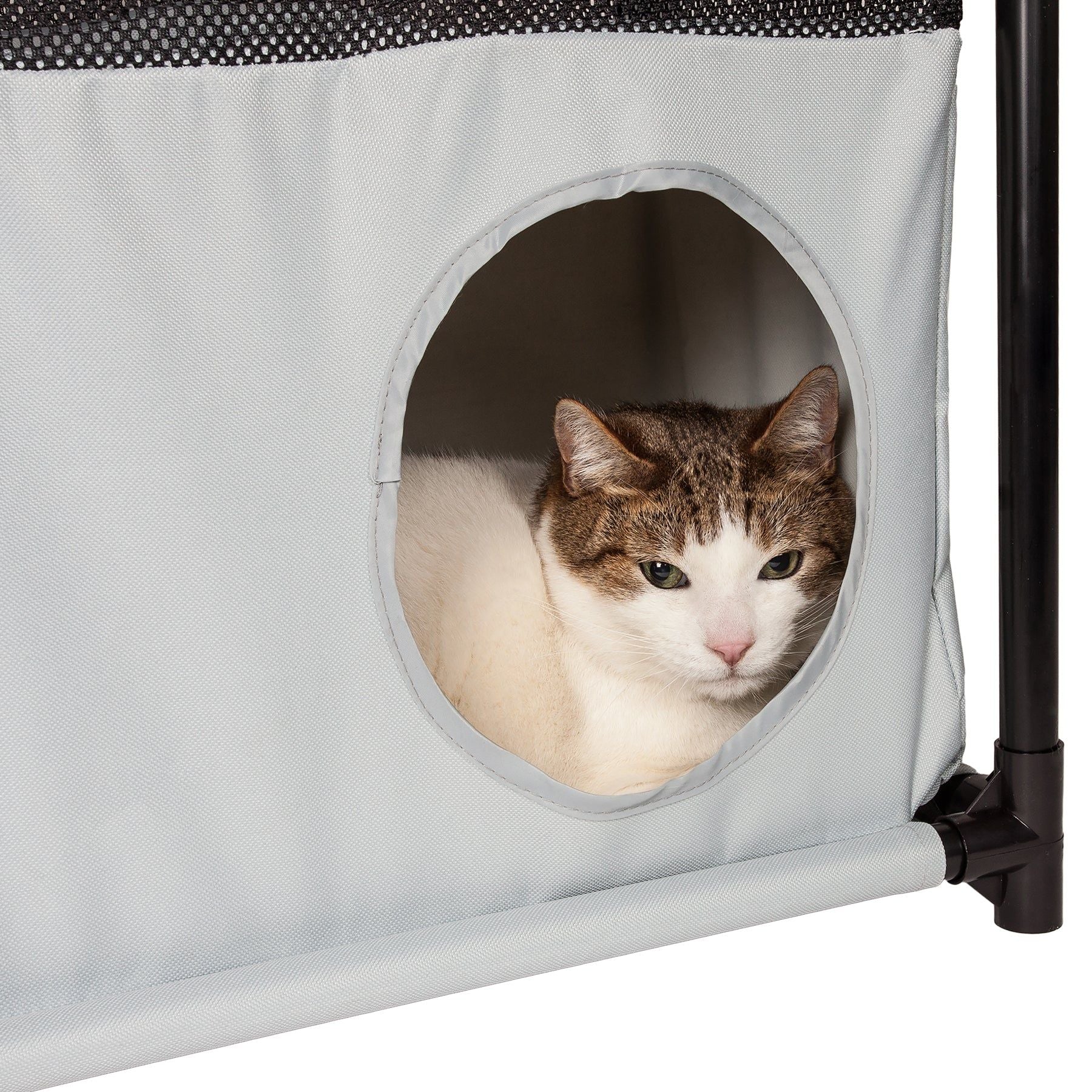 Cat resting inside a gray collapsible cat house with circular entry opening