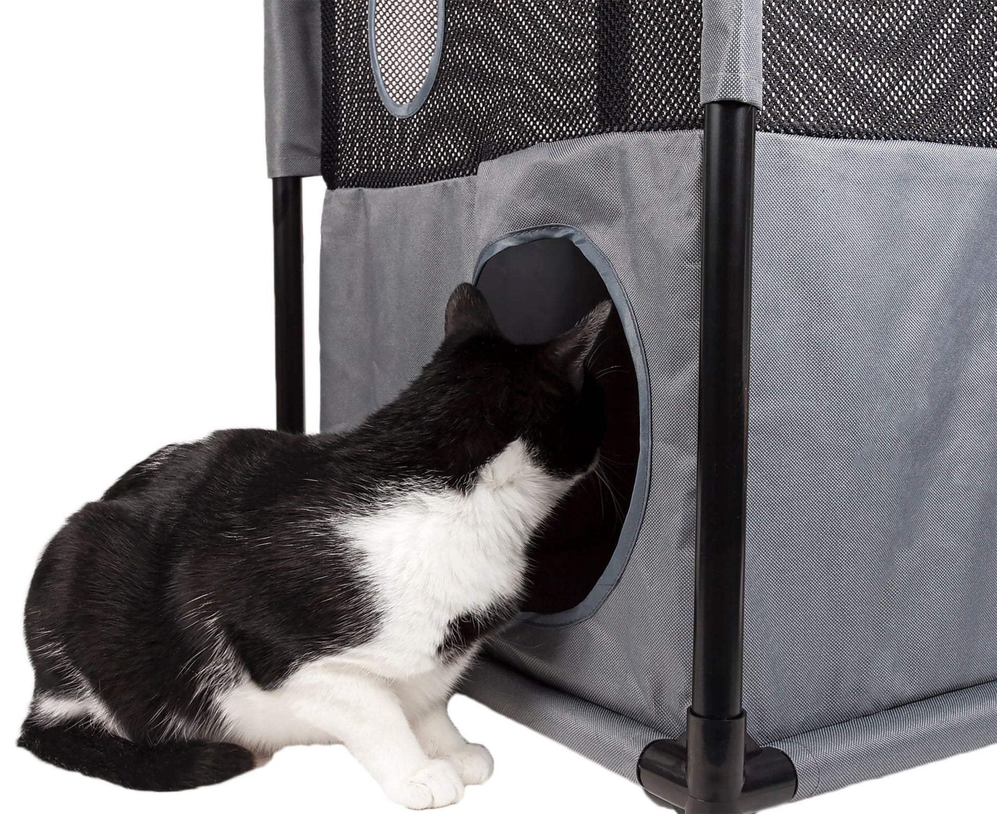 Black and white cat entering a gray collapsible cat house with mesh sides and sturdy frame