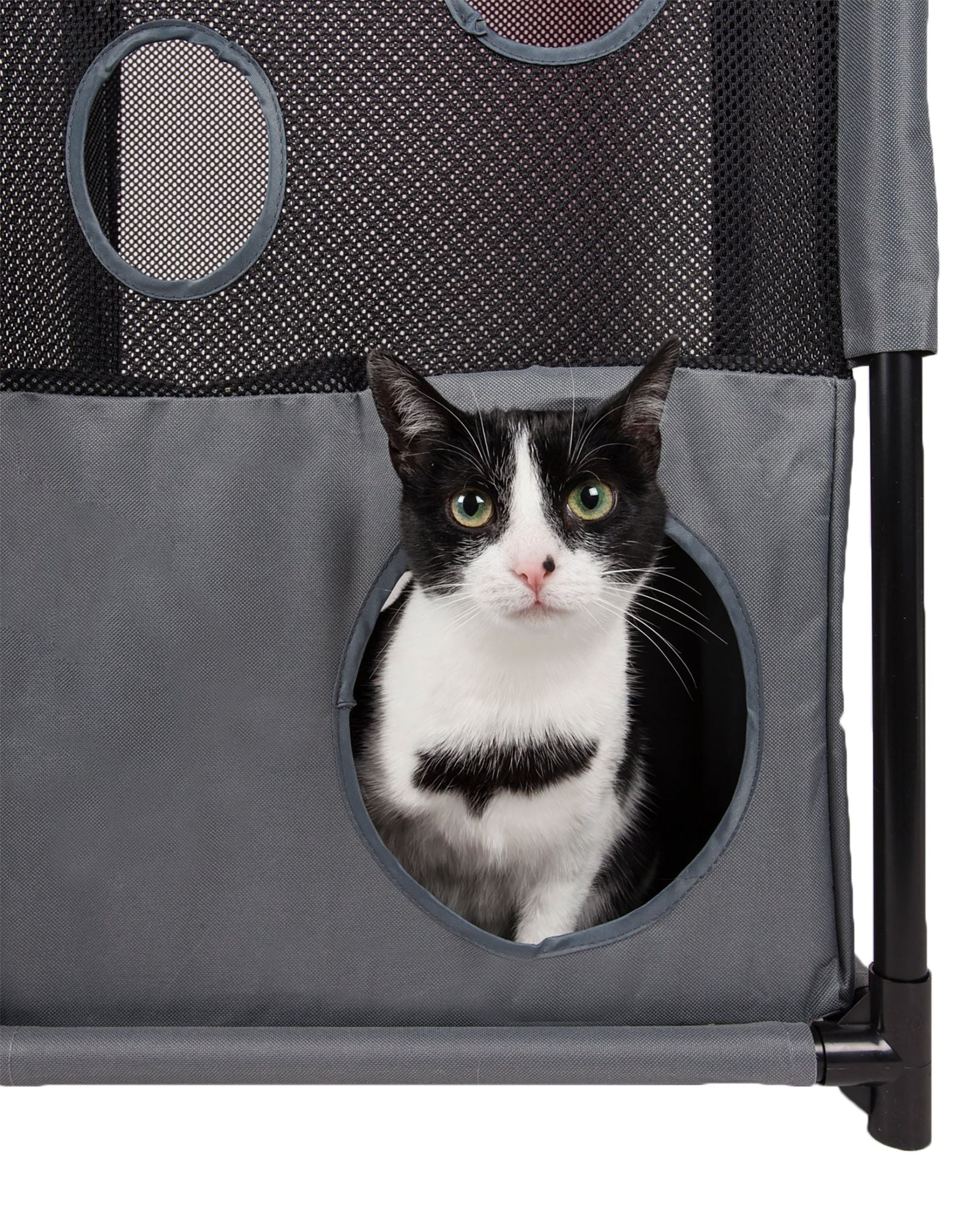 Black and white cat sitting inside a gray collapsible cat house with mesh and circular openings