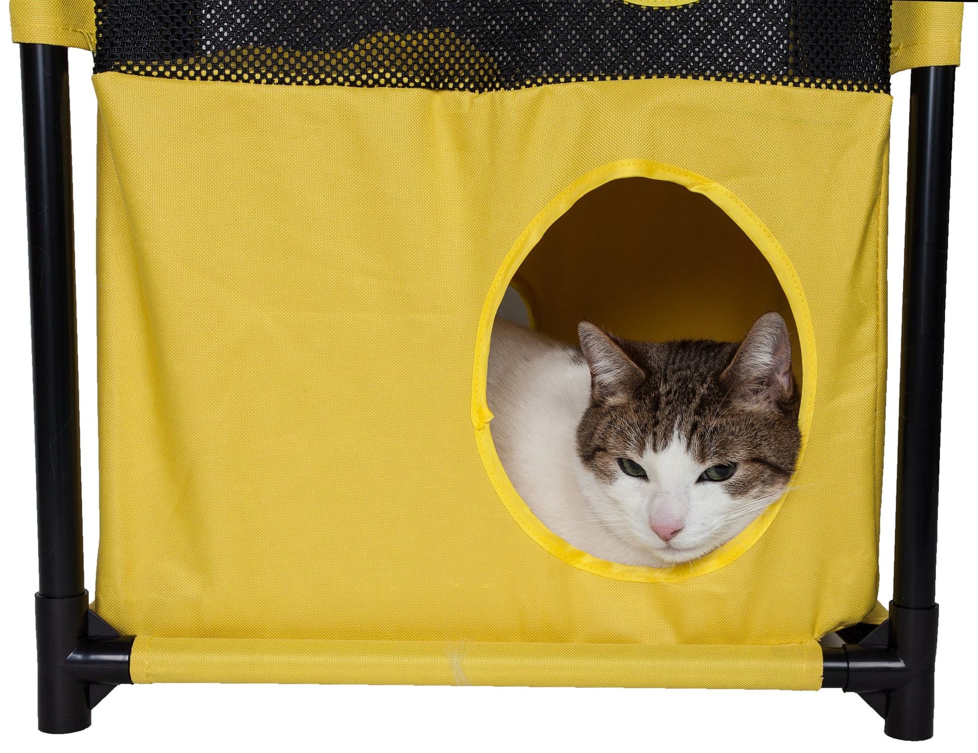 Yellow collapsible cat house with a tabby and white cat resting inside the circular entrance