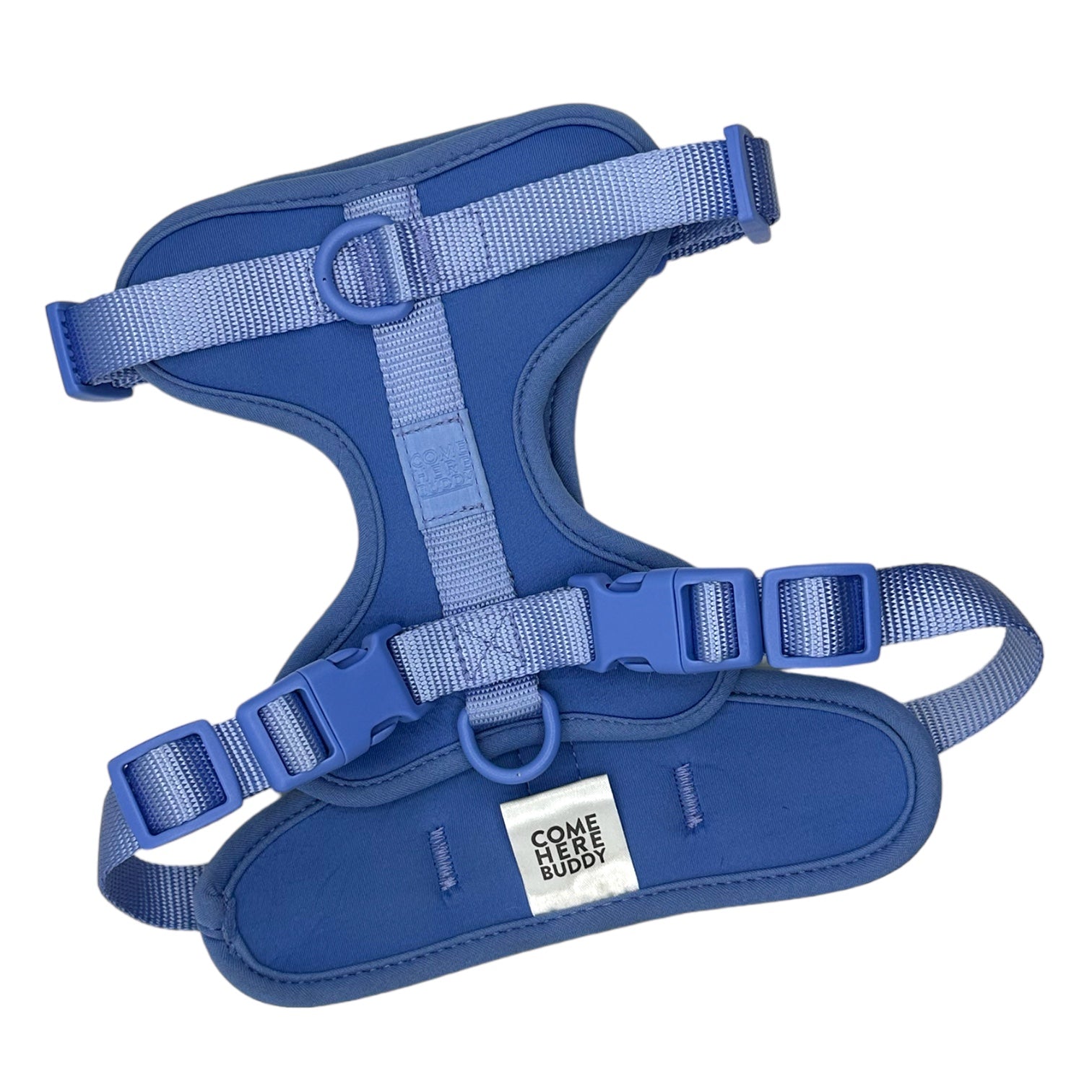 Come Here Buddy Blue Dog Harness for Small and Large Dogs with Adjustable Straps