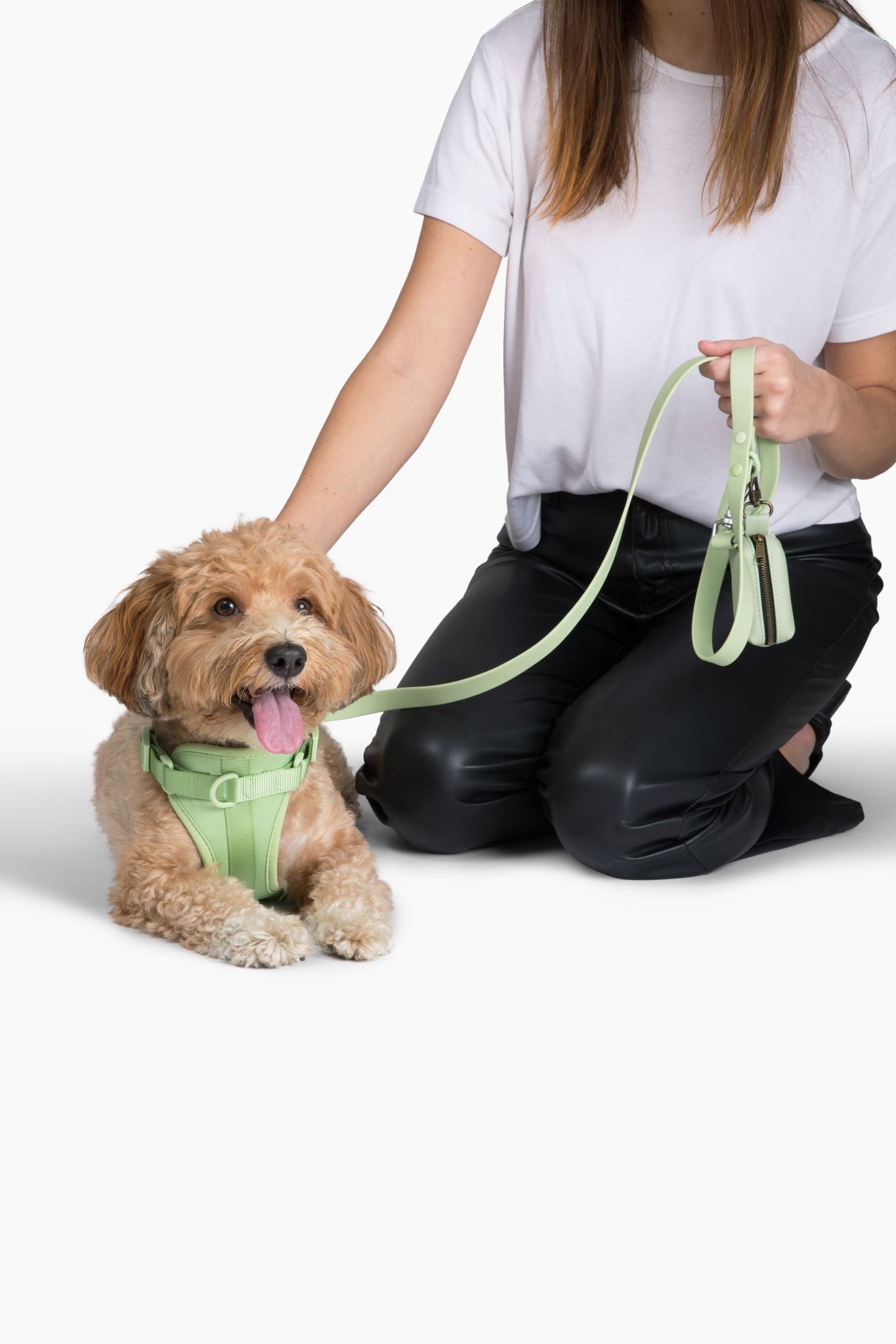 Come Here Buddy dog harness for small and large dogs in mint green worn by a happy dog with owner