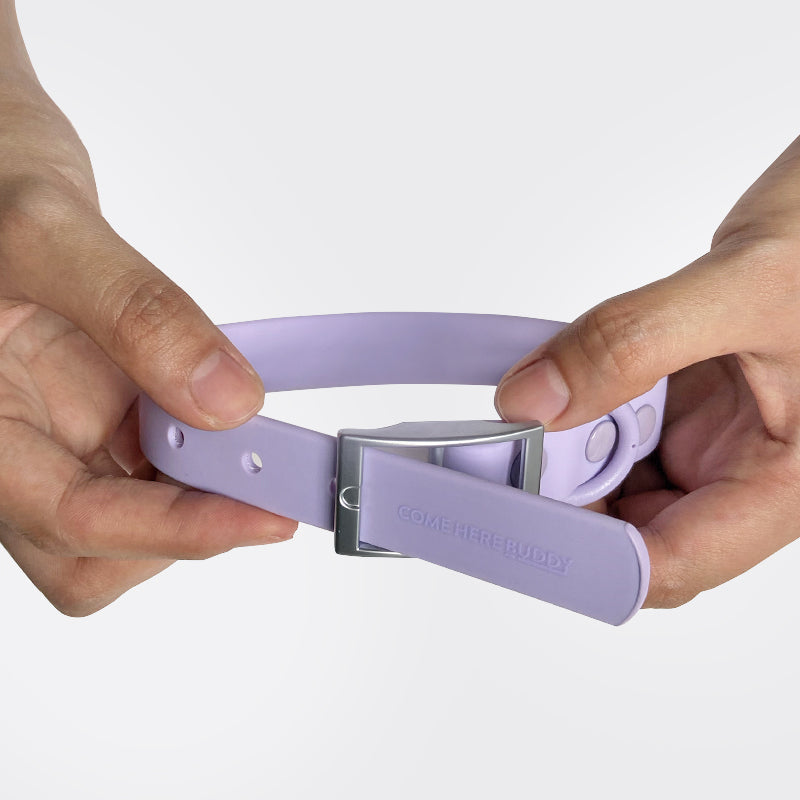 Come Here Buddy durable dog collar in lavender being held with a secure buckle for easy adjustment