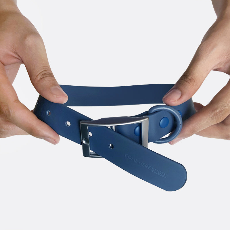 Come Here Buddy durable dog collar in blue, designed for comfort and style for your pet