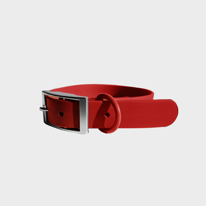 Come Here Buddy durable dog collar in red with a sturdy metal buckle and adjustable fit