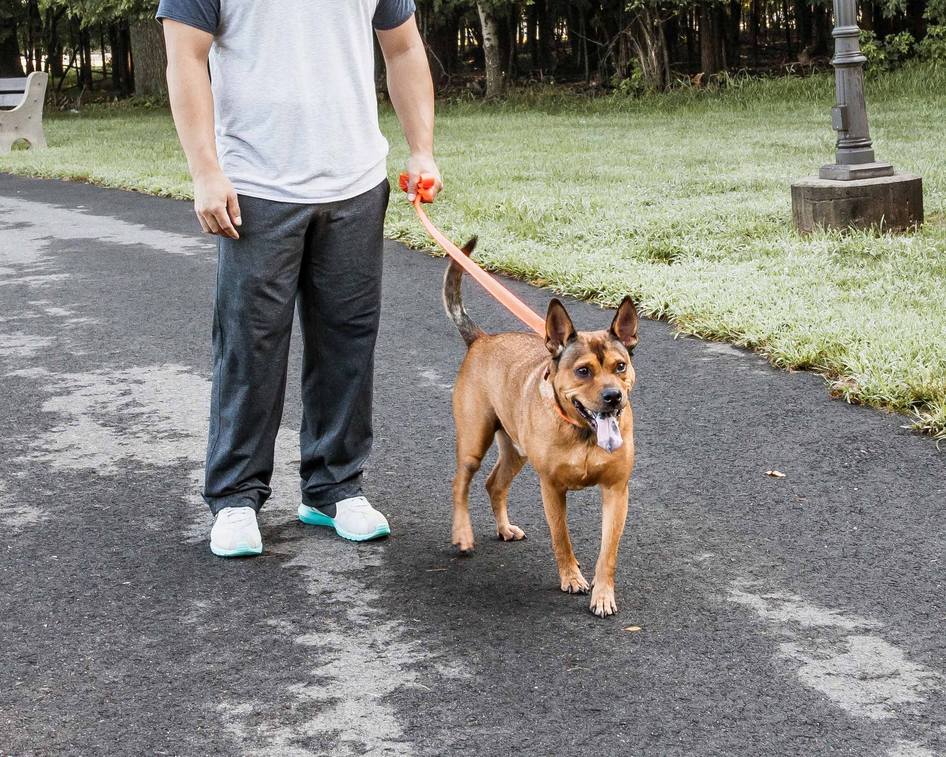 Man walking a brown dog on a comfortable mesh dog leash on a park pathway