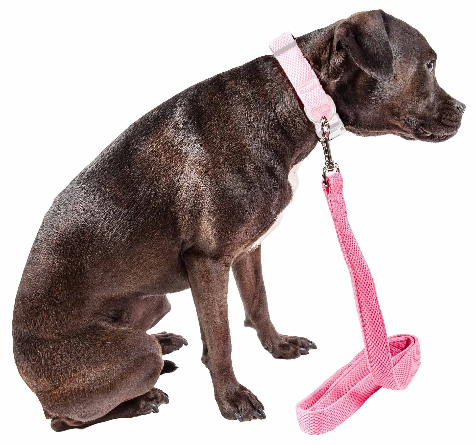 Brown dog wearing pink collar attached to comfortable mesh dog leash by PawCounter.com