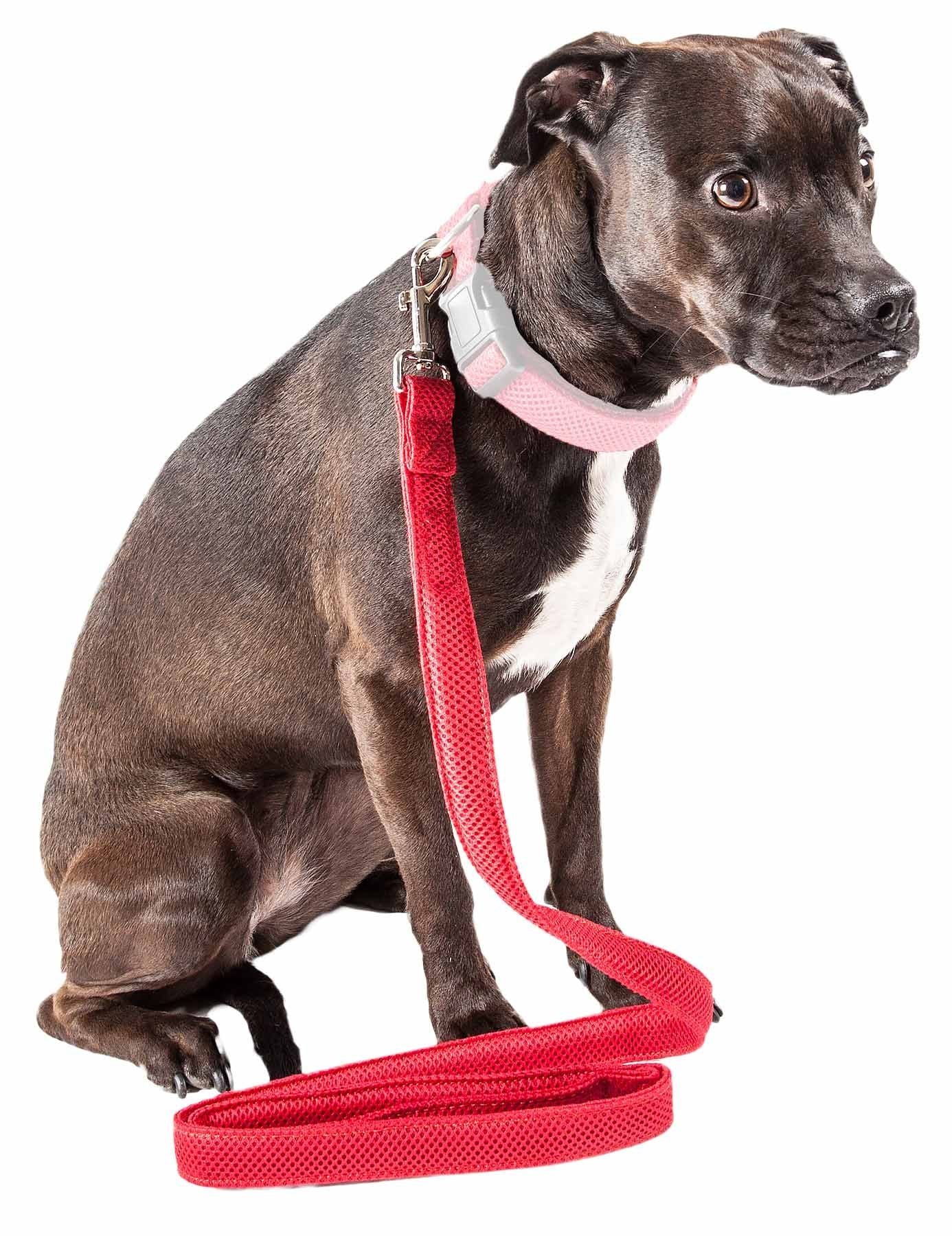 Black dog sitting with a red comfortable mesh dog leash attached to a pink collar from PawCounter.com
