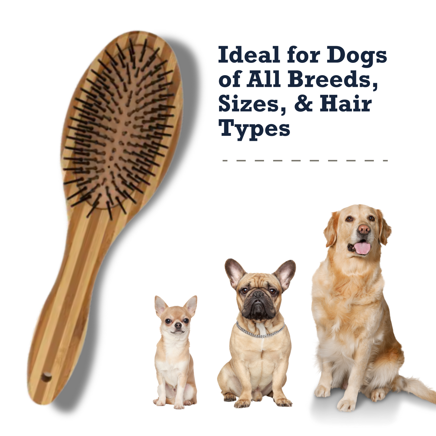 American Pet Supplies dual sided dog brush with wooden handle next to three different dog breeds