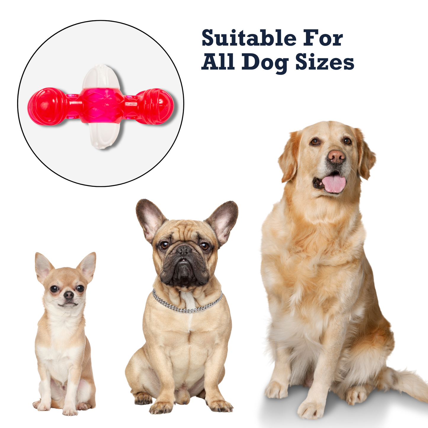Quacking bone dog chew toy designed for dogs of all sizes, featuring a colorful and engaging design