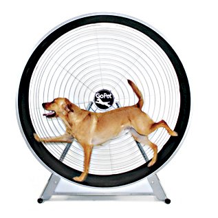 GoPet TreadWheel For Large Dogs PawCounter.com