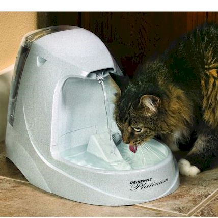 Drinkwell Platinum Pet Fountain PawCounter.com