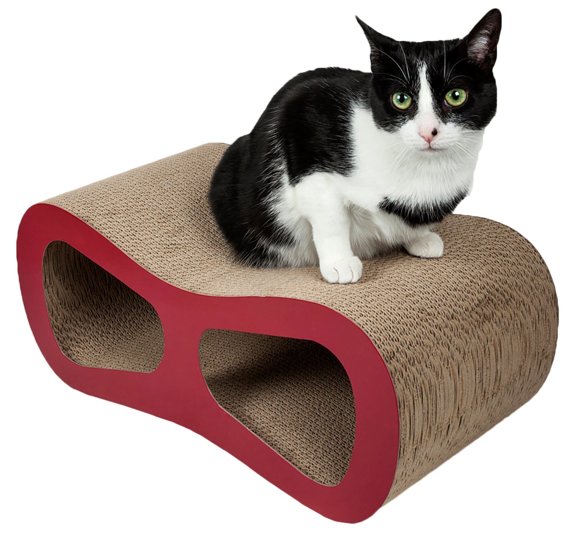 Designer cat scratcher lounger with red edges and black and white cat sitting on top