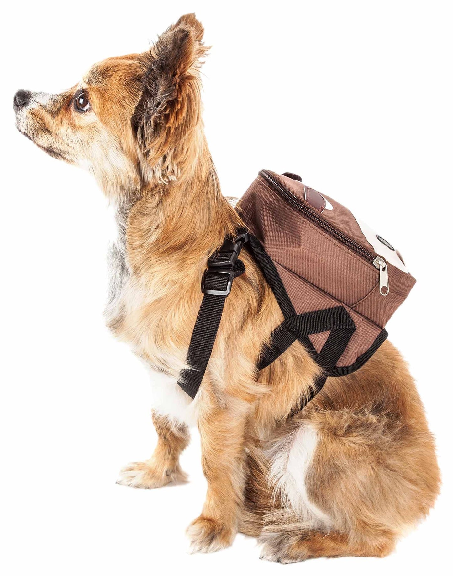 Brown dog harness backpack with pockets worn by small tan and white dog sitting on white background