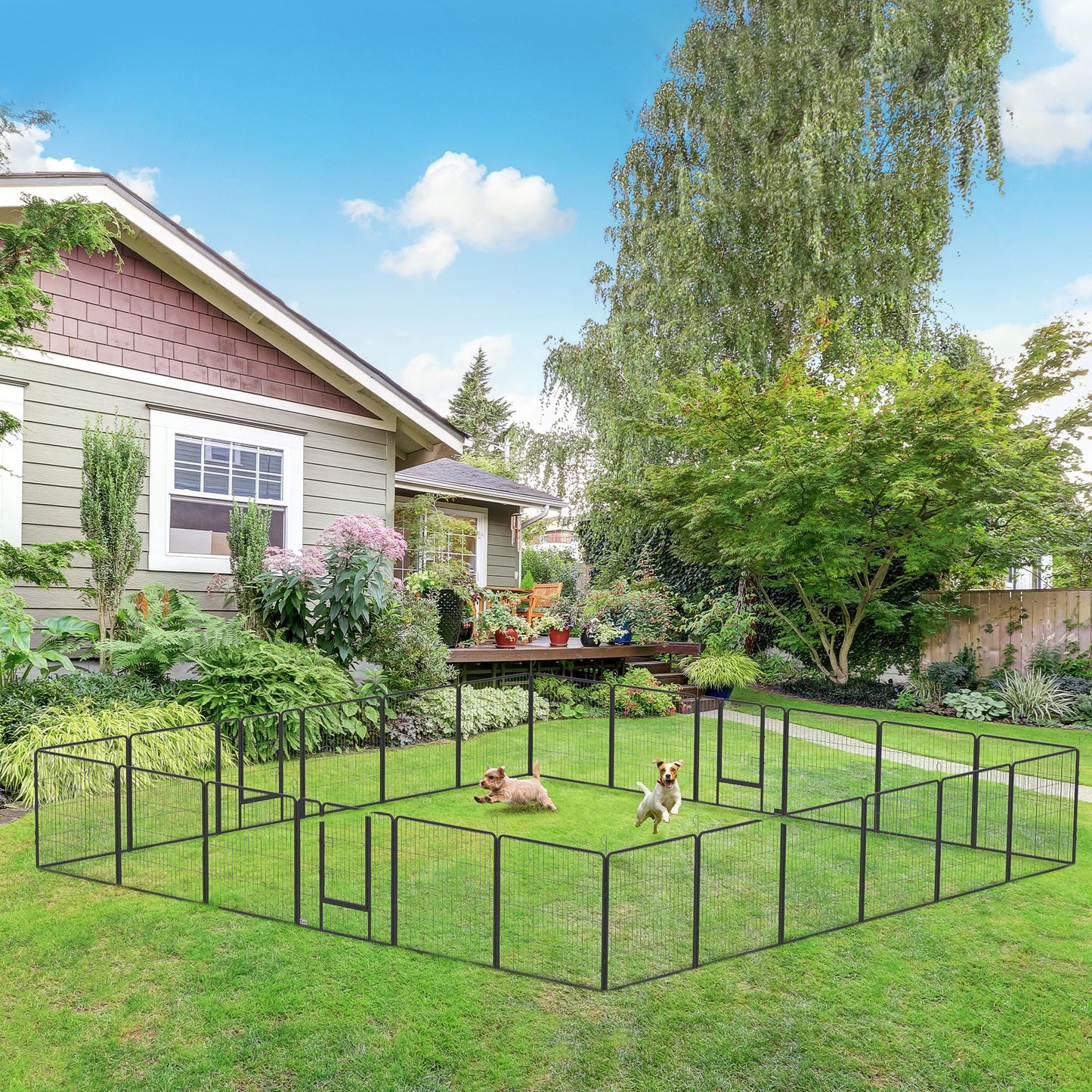 Black metal dog playpen for small and medium dogs set up on a green backyard lawn with two dogs inside