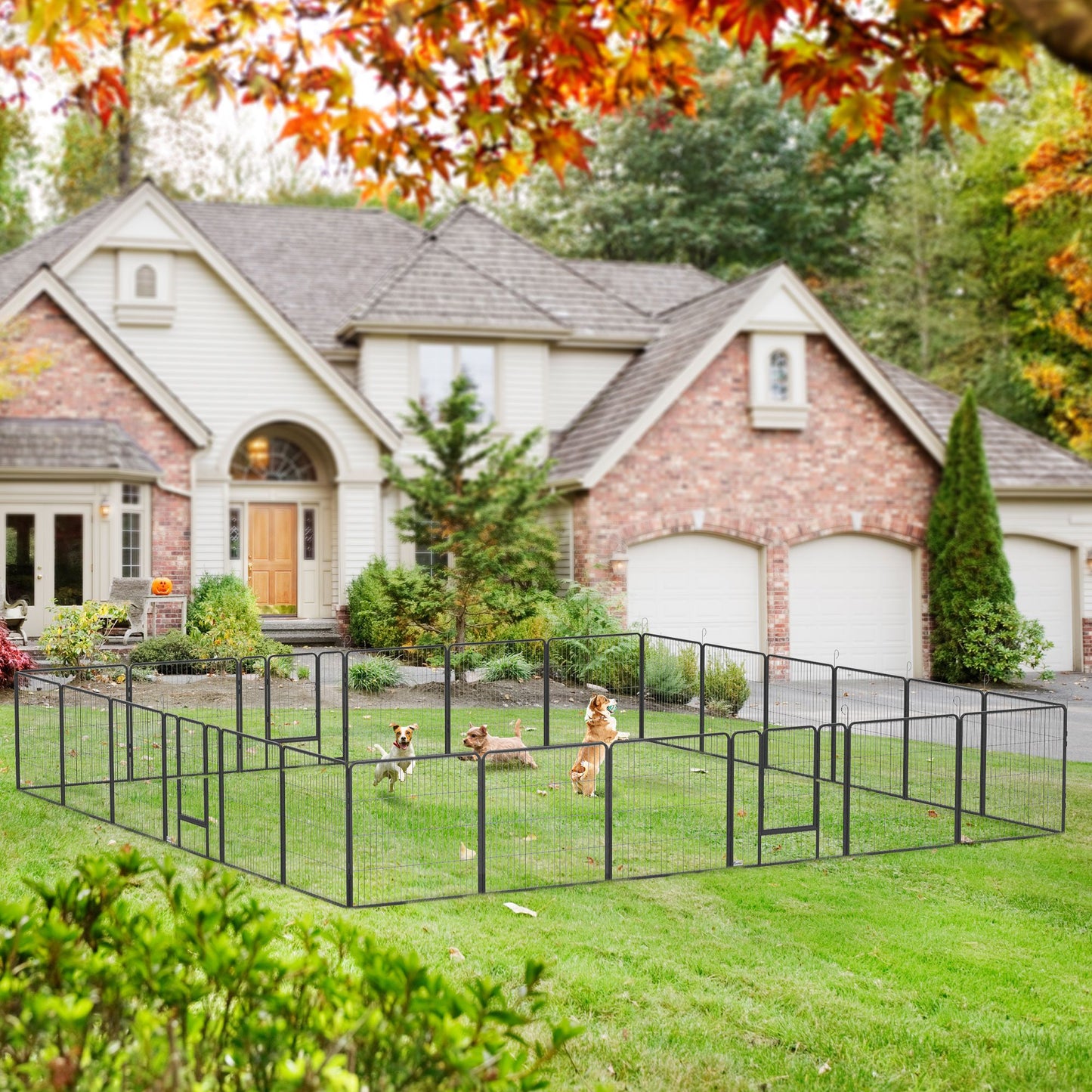 Outdoor dog playpen for small and medium dogs with black metal panels on green lawn in front of house