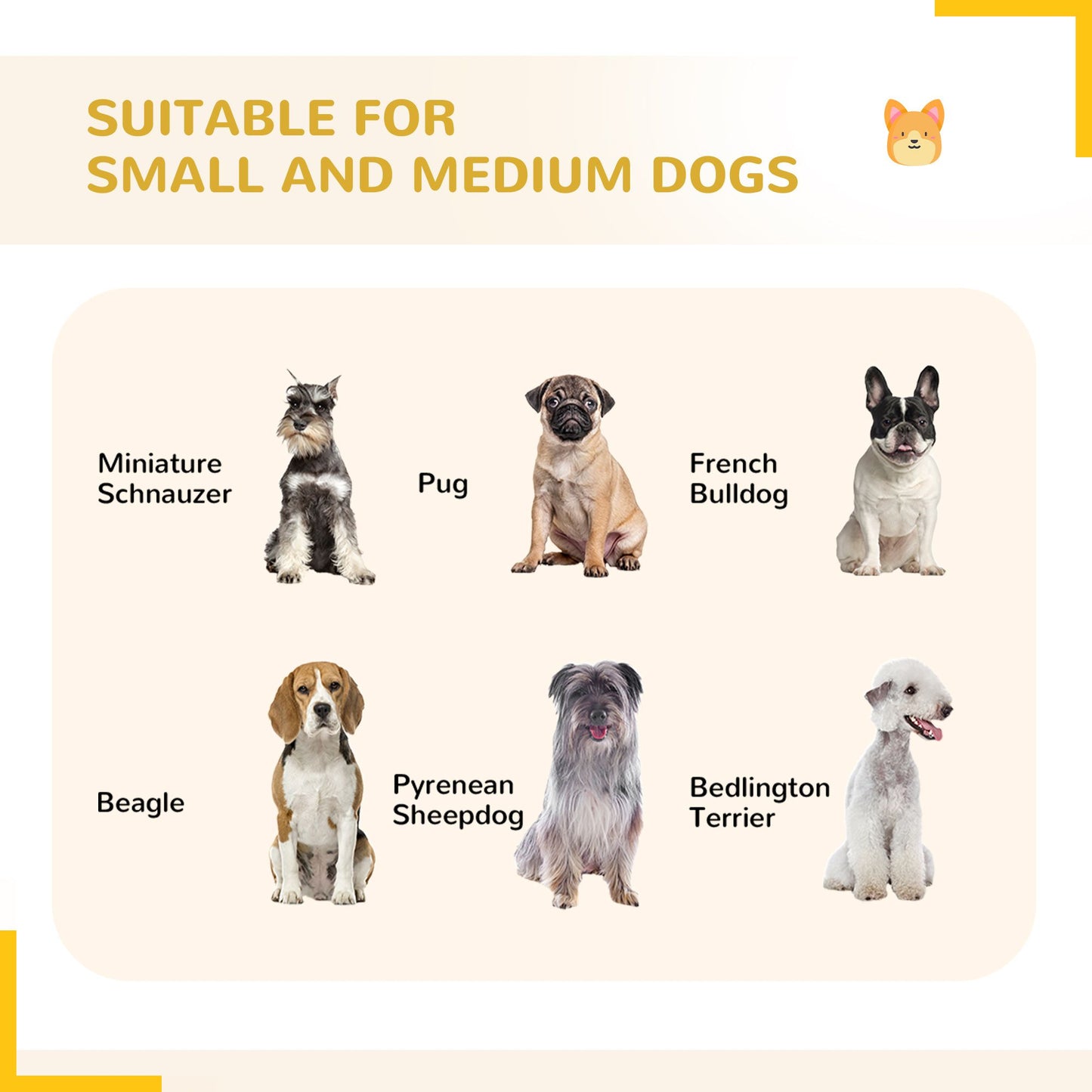 Different dog breeds suitable for dog playpen for small and medium dogs including Miniature Schnauzer Pug and Beagle