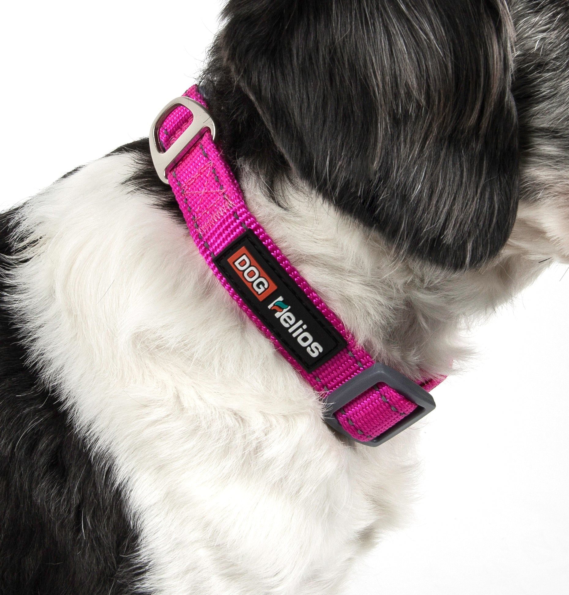 Pink durable pet leash for active dogs attached to black and white dog collar by PawCounter.com