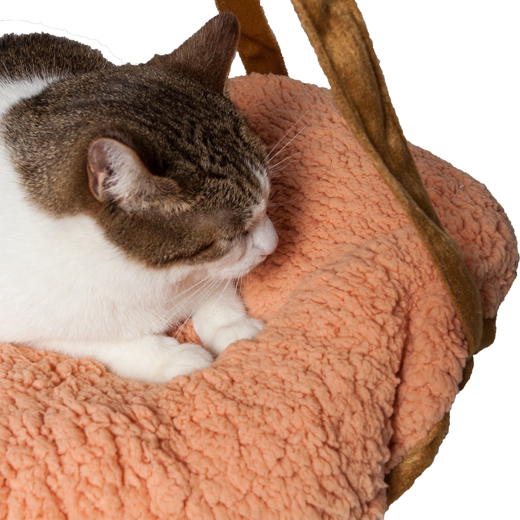 Cat resting comfortably on a soft peach-colored dual-lounger cat hammock by PawCounter.com
