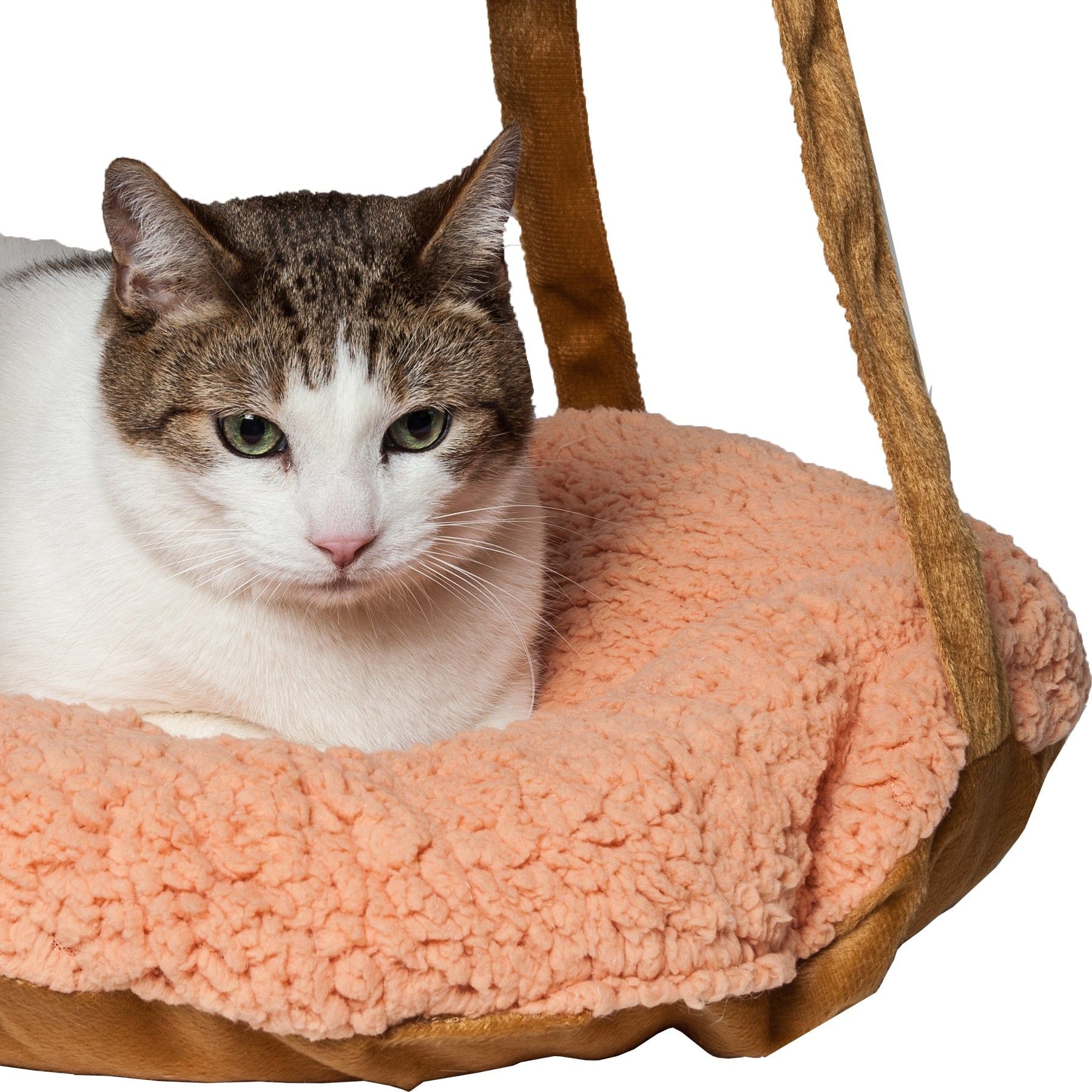 Cat resting comfortably in peach fleece-lined dual-lounger cat hammock by PawCounter.com