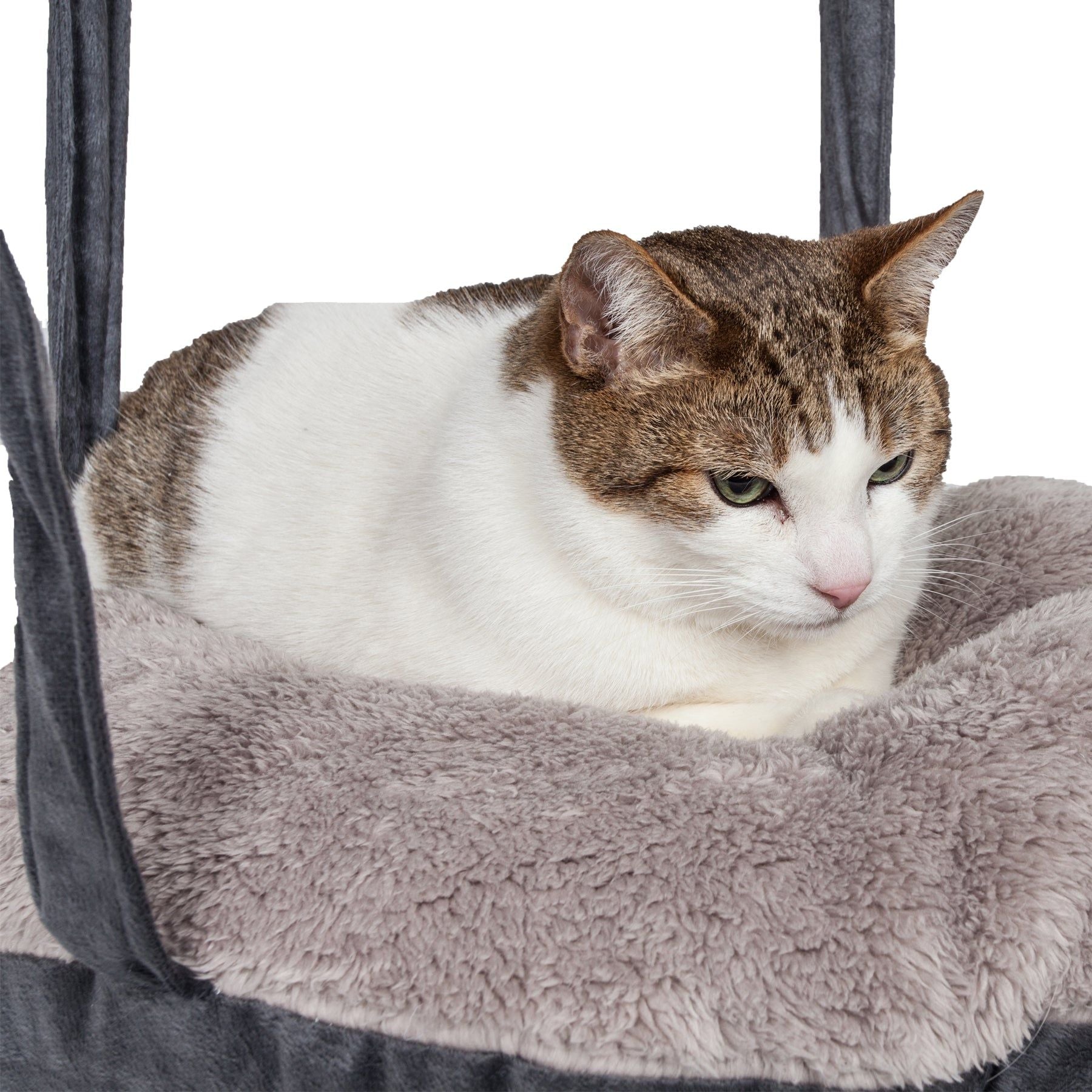 Cat resting comfortably on a soft gray dual-lounger cat hammock by PawCounter.com