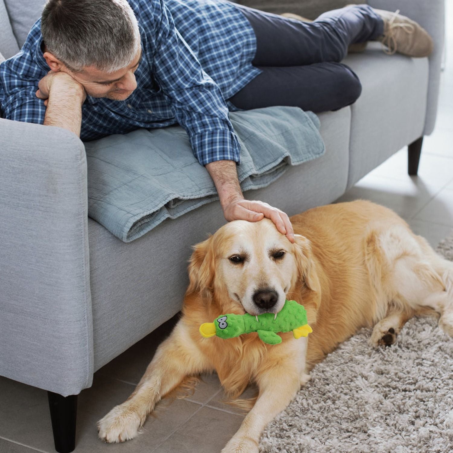 Golden retriever lying on floor holding a duck shaped dog toy in its mouth while being petted