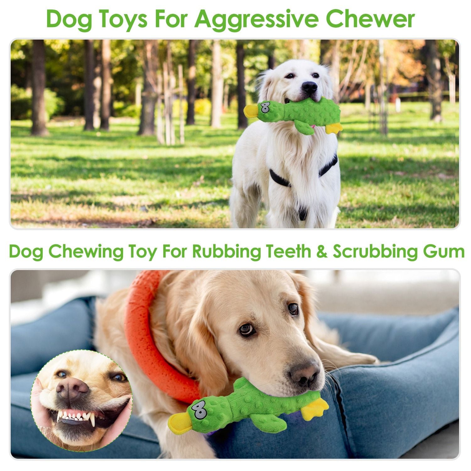 Golden retriever chewing on a green duck shaped dog toy designed for aggressive chewers