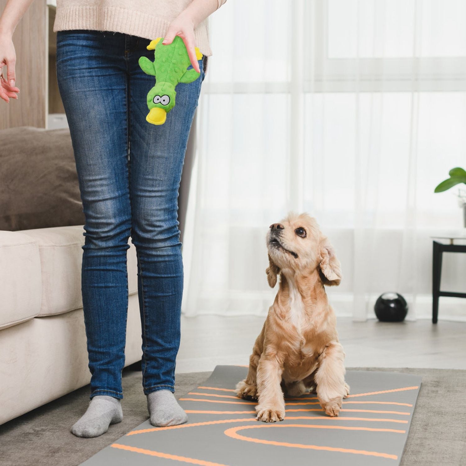Person holding a green duck shaped dog toy while a small dog sits attentively on a rug indoors
