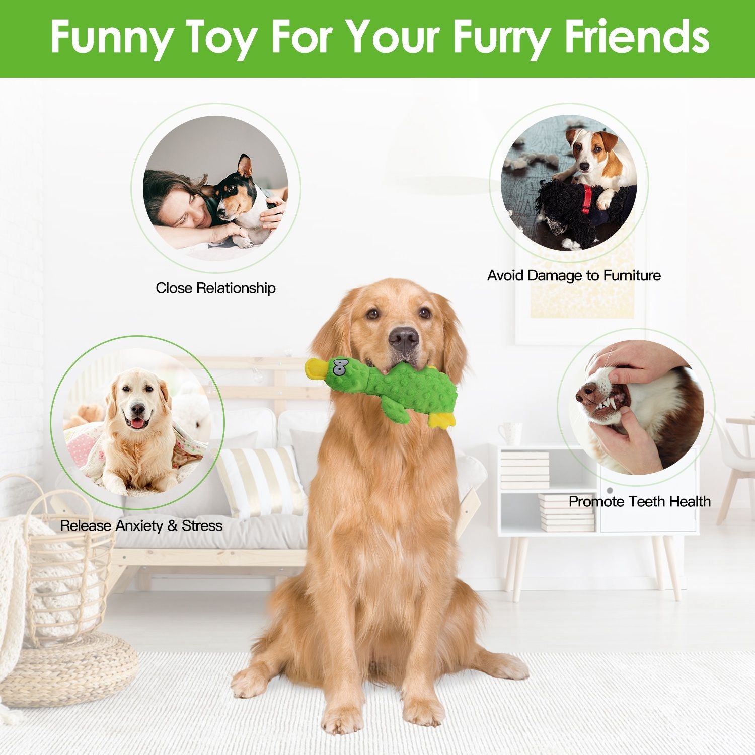 Golden retriever holding a duck shaped dog toy highlighting stress relief and teeth health benefits