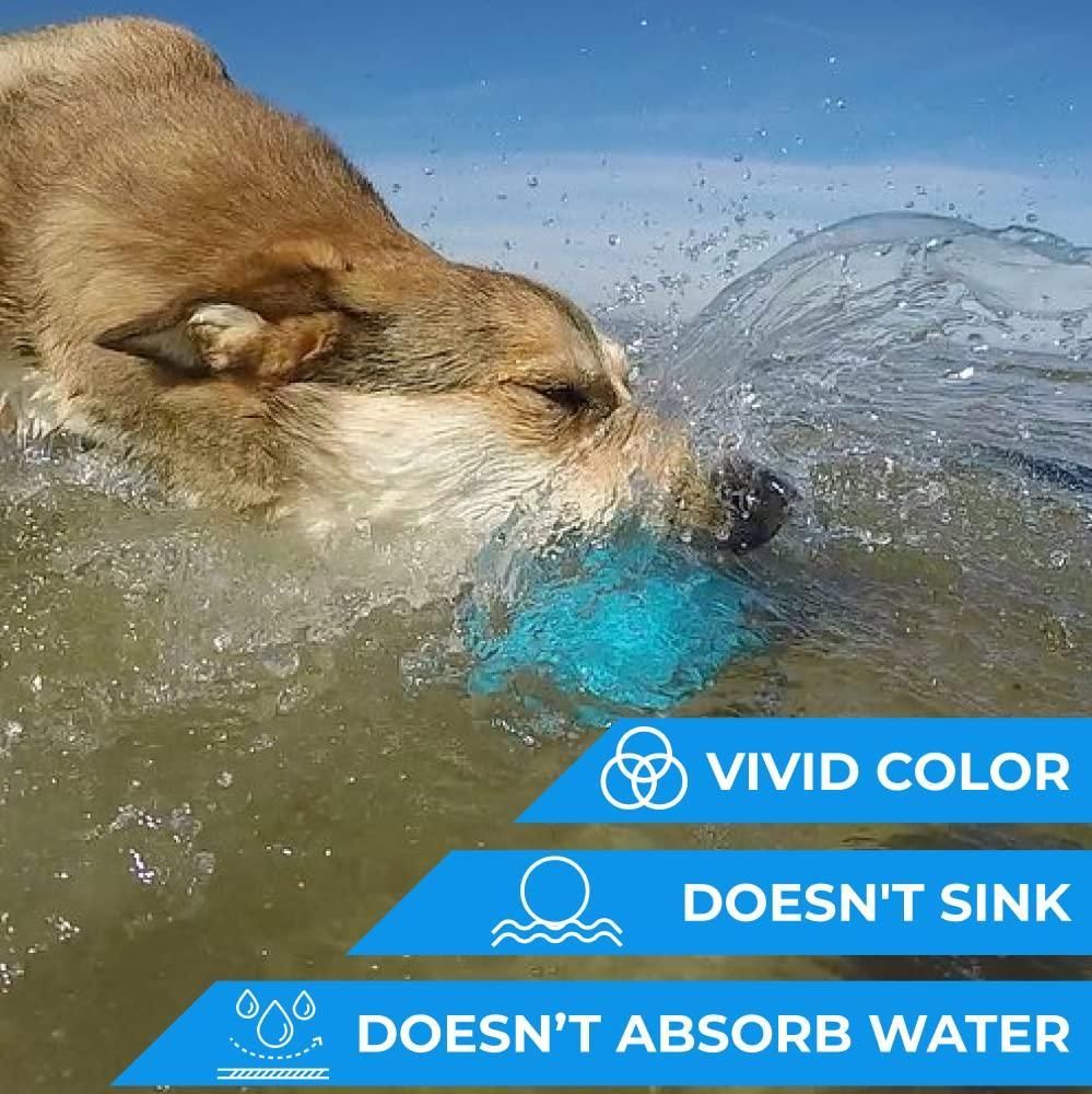 Dog playing with a durable fetch toy for dogs in water that doesn't sink or absorb water