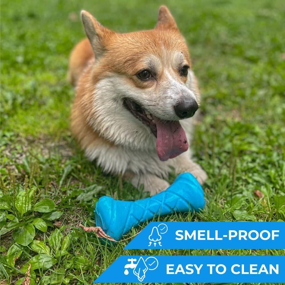 Happy dog playing with a durable fetch toy for dogs in bright blue on green grass outdoors