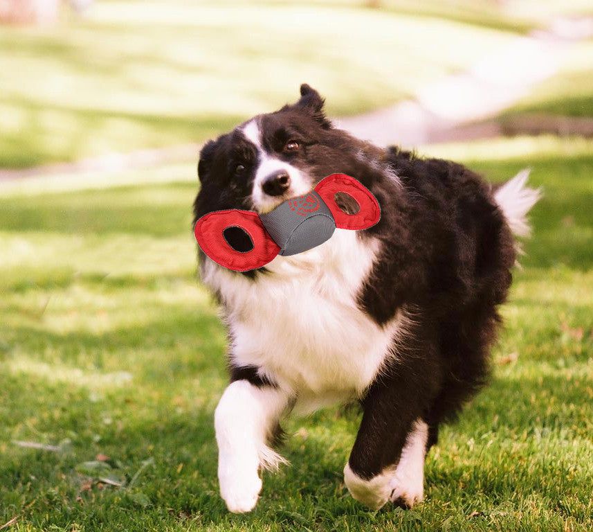 Black and white dog playing outside with a durable plush dog toy in its mouth on green grass