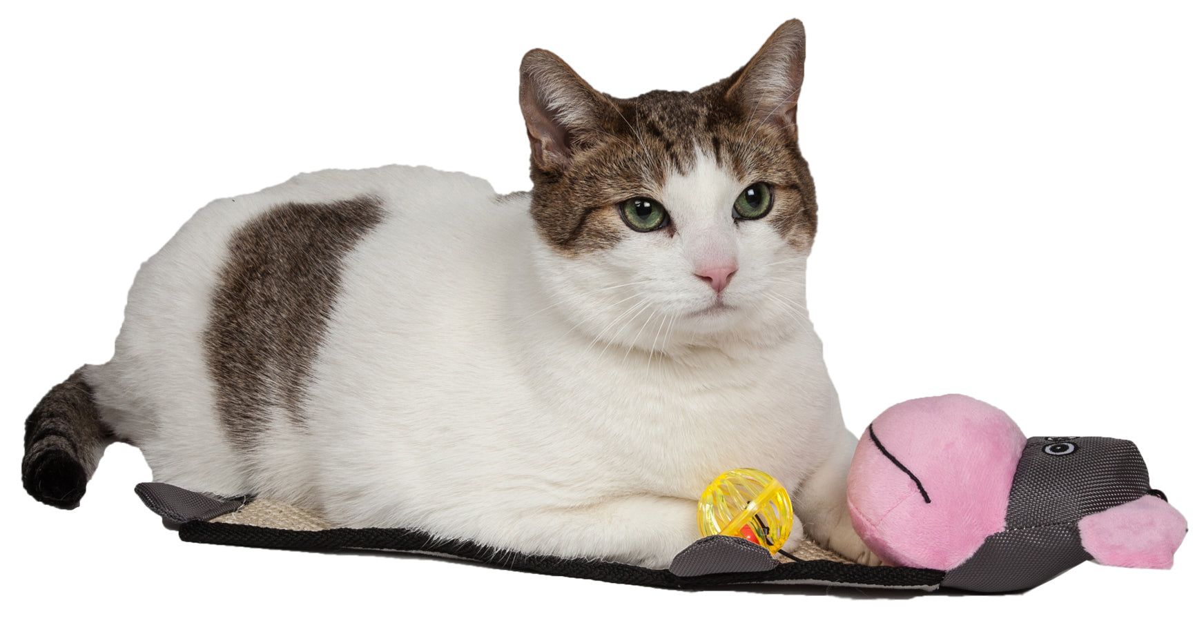 Cat lying on eco-friendly cat scratcher shaped like a pink and black animal with a yellow toy ball