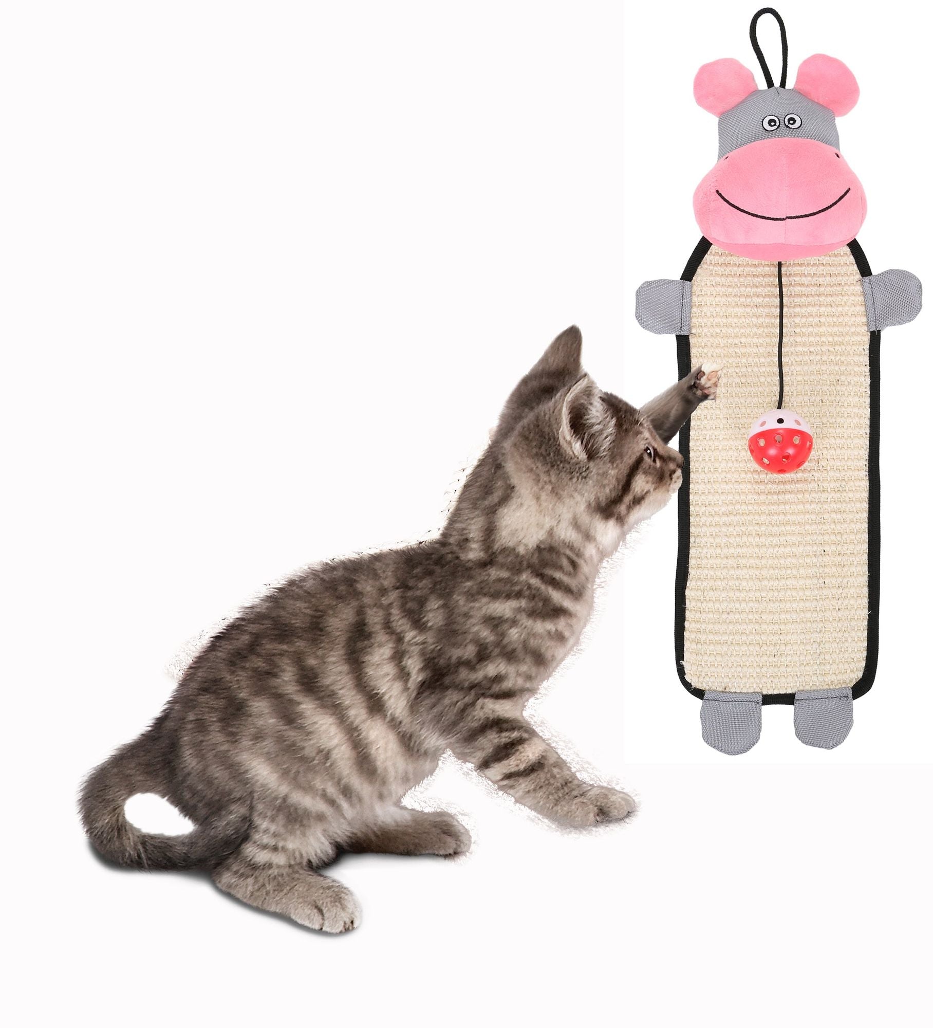 Kitten playing with eco-friendly cat scratcher shaped like a pink and gray hippo with a hanging toy