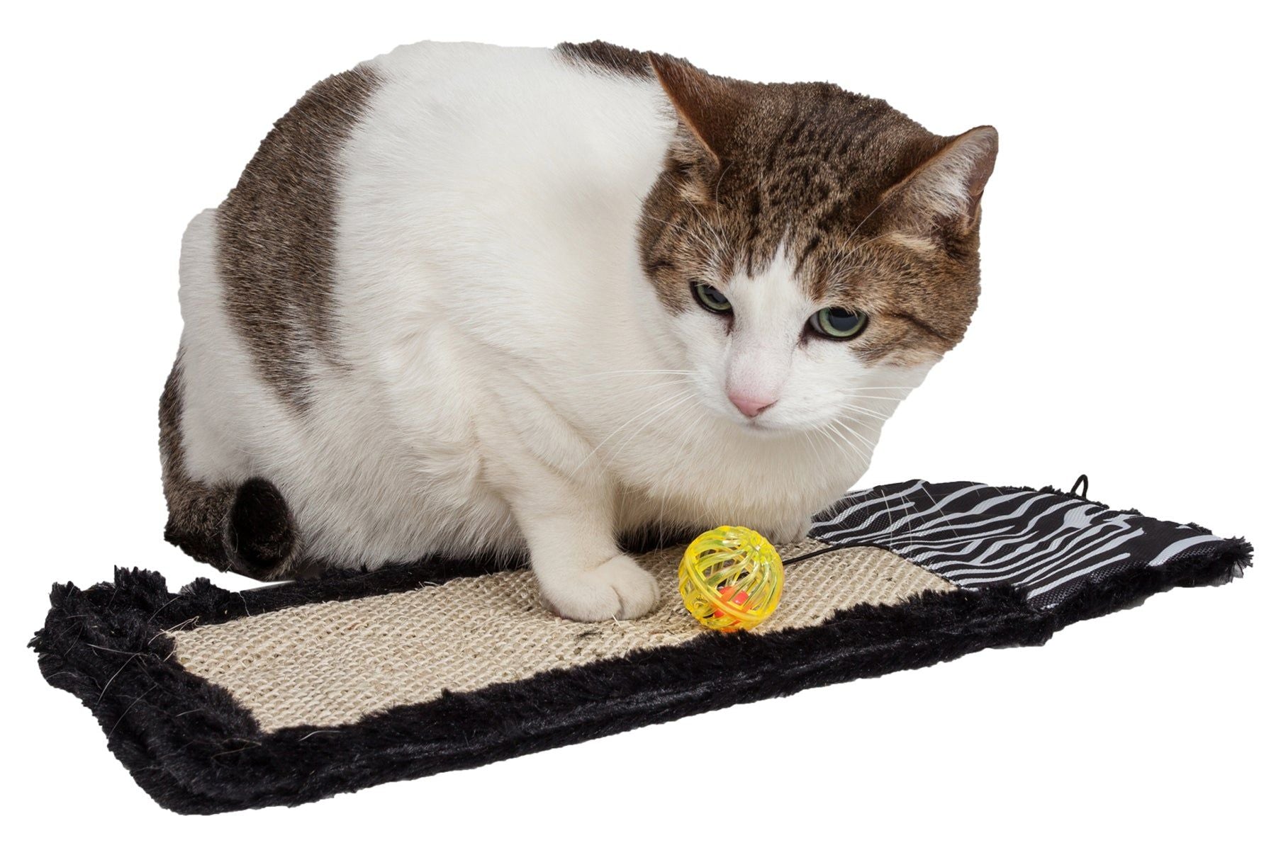 Cat using PawCounter.com eco-friendly cat scratcher mat with attached yellow ball toy