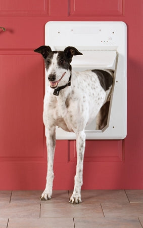 PetSafe electronic pet door large installed on red door with medium white and black dog exiting
