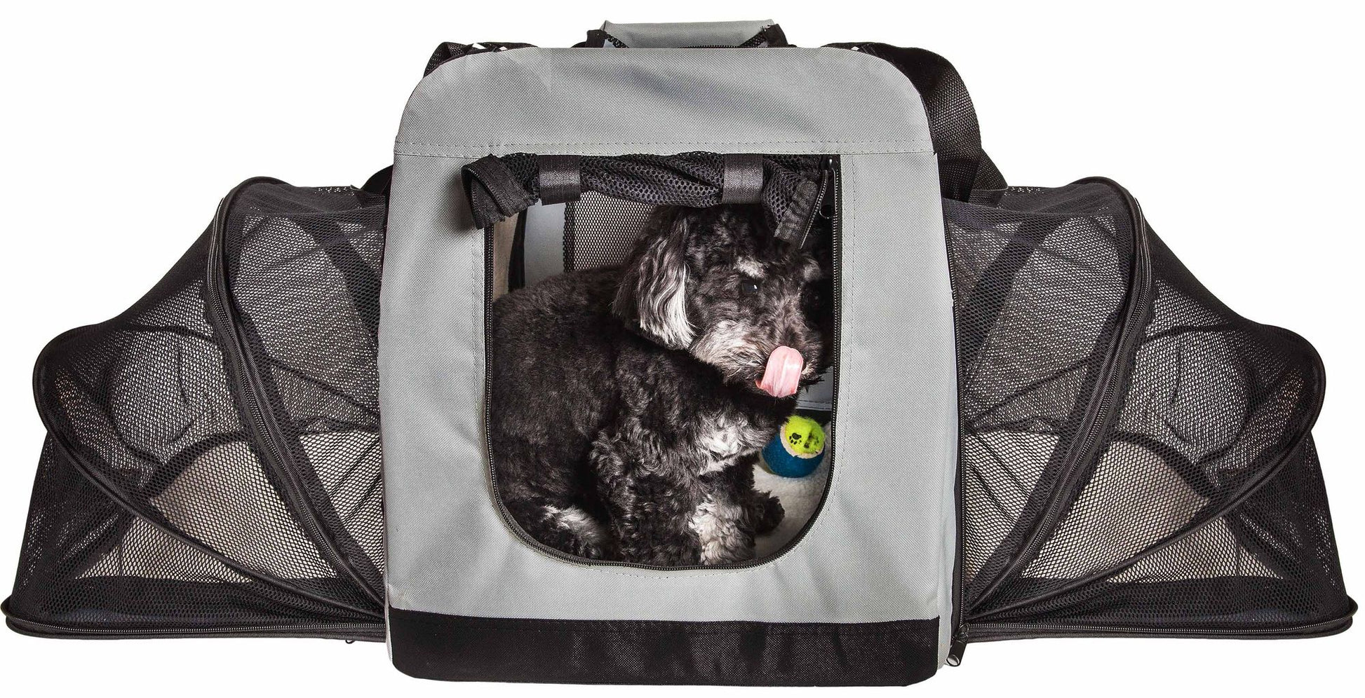 Expandable dog crate with black and gray mesh sides featuring a small black dog inside