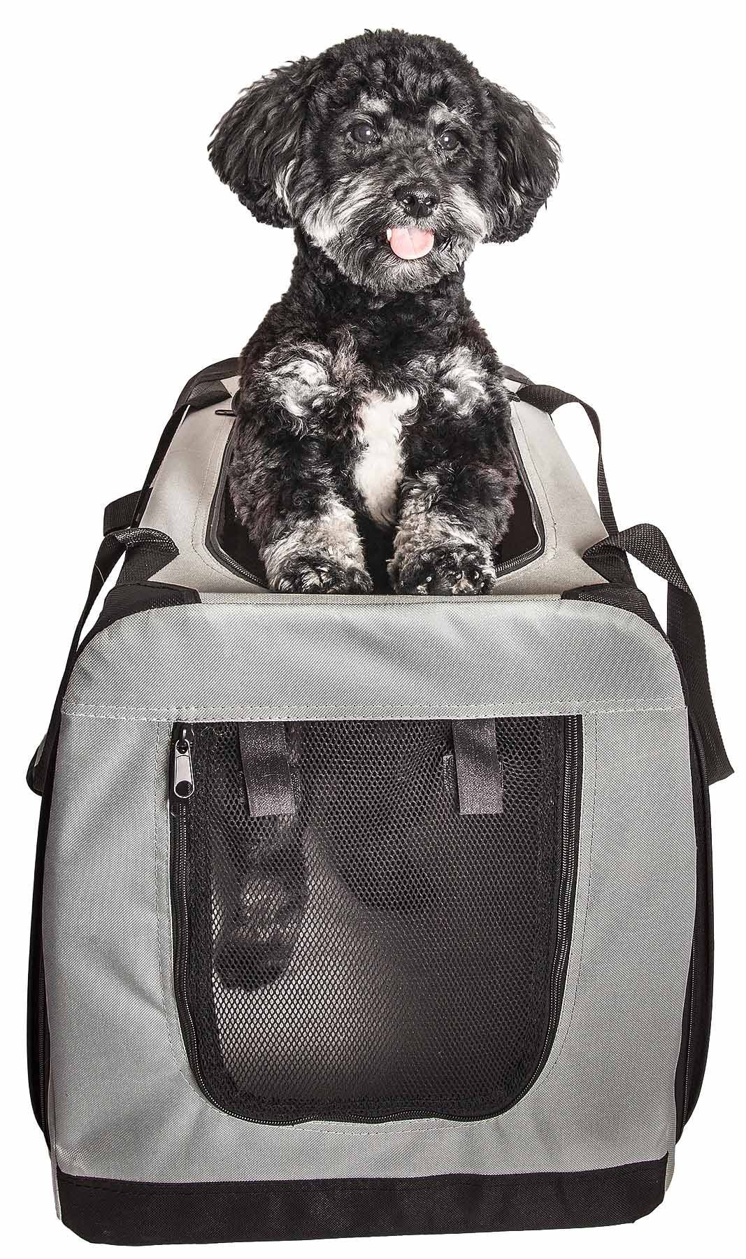 Small black and white dog sitting inside a gray expandable dog crate with mesh window