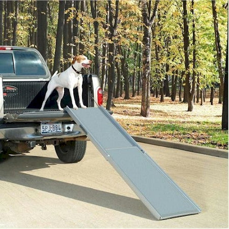 PetSafe extra large dog ramp attached to truck bed with dog standing on ramp outdoors