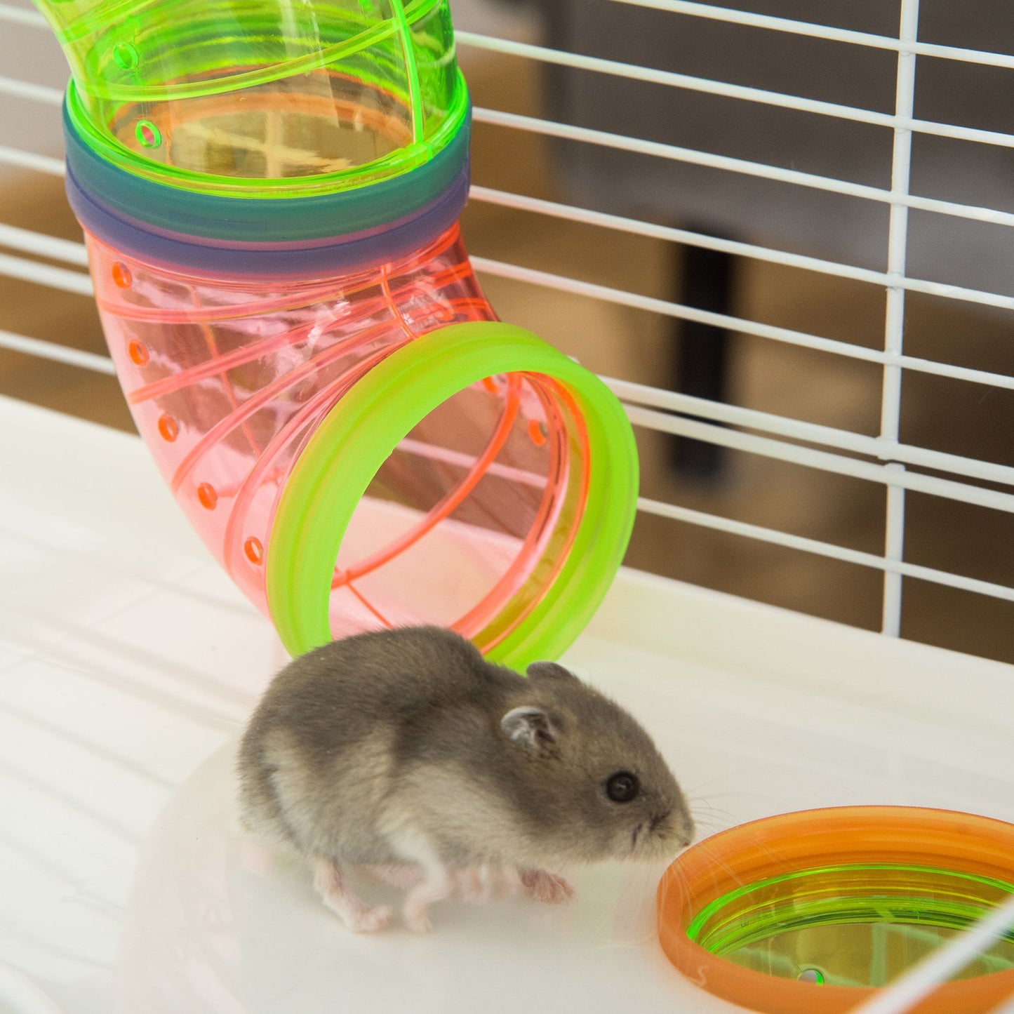 Extra large hamster cage with tunnels featuring colorful tubing for active hamsters