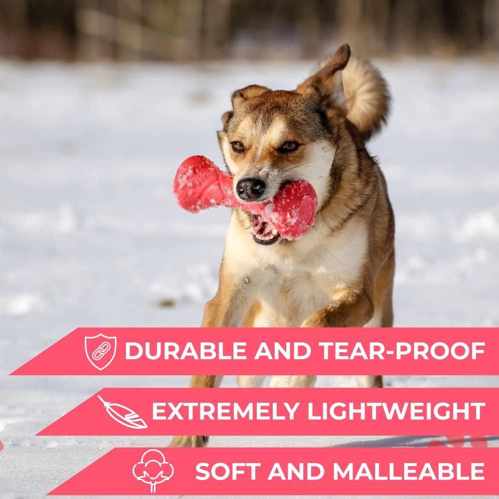 Dog playing in snow with a red durable floating dog fetch toy from PawCounter.com