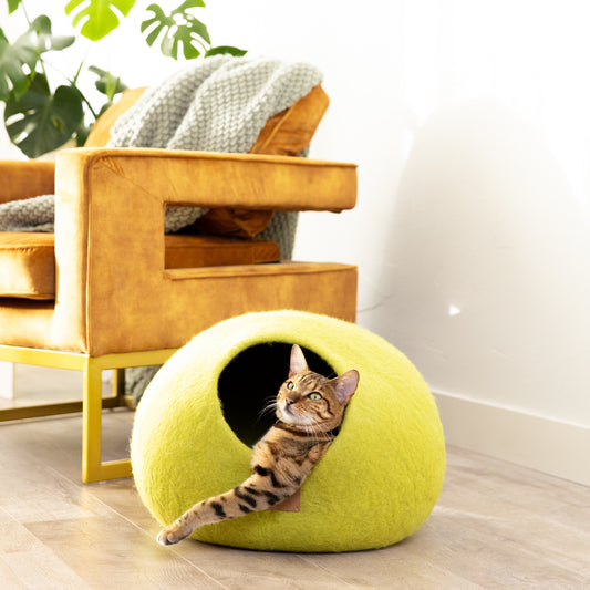 Cozy green cat cave bed for cats with a playful cat peeking out, ideal for relaxation
